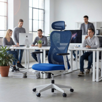 Bürostuhl Fusion White, Lendenstütze