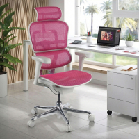 Ergonomischer Luxus Bürostuhl Ergohuman Elite, weißer Rahmen