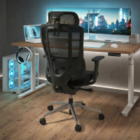 Ergonomischer Bürostuhl mit Kopfstütze AeroFlow black, zertifiziert