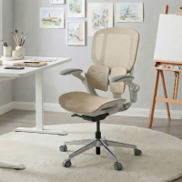 Ergonomischer Stuhl Erghos One, orthopädisch, doppelte Lendenwirbelstütze