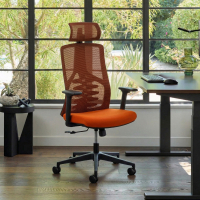 Ergonomischer Bürostuhl Quick, bionische Rückenlehne, Kopfstütze