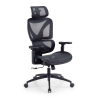 Ergonomischer Bürostuhl Velstrom mit Lordosenstütze und 3D-Armlehnen