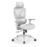 Ergonomischer Bürostuhl...