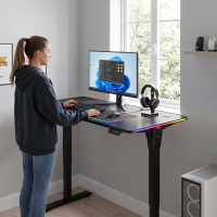 Gaming-Tisch NewLevel, elektrisch höhenverstellbar, 140x60cm