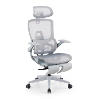 Ergonomischer Bürostuhl...