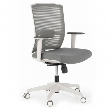 ergonomischer burostuhl weiss grau weisse struktur netzstoff 1d verstellbare armlehnen lordosenstutze 1