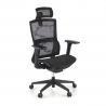 Ergonomischer Bürostuhl Winter, Lordosenstütze, Kopfstütze