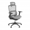 Ergonomischer Bürostuhl Winter, Lordosenstütze, Kopfstütze
