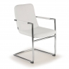 Besucherstuhl Dallas, bequem und robust, Freischwinger 210851 - (Outlet)