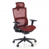 Ergonomischer Bürostuhl Winter, Lordosenstütze, Kopfstütze