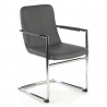 Besucherstuhl Dallas, bequem und robust, Freischwinger