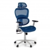 Ergonomischer Bürostuhl Ergocity, Lendenkissen, 3D-Armlehnen