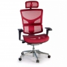 Ergonomischer Bürostuhl Next2, Netzstoff, mit Kopfstütze