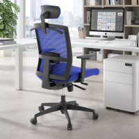 Ergonomischer Bürostuhl Akira, mit Kopfstütze