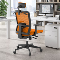 Ergonomischer Bürostuhl...