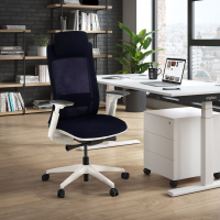 Ergonomischer Bürostuhl Intouch white, vollständig einstellbar