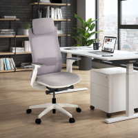 Ergonomischer Bürostuhl Intouch white, vollständig einstellbar