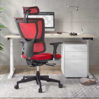Ergonomischer Bürostuhl Energy, Premium-Modell, fortschrittliche Technik