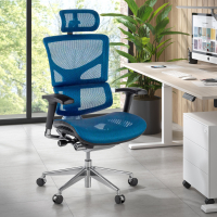 Ergonomischer Bürostuhl...