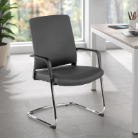 Freischwinger Stuhl Bali, ergonomische Rückenlehne, Kunstleder