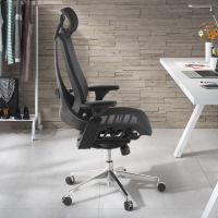 Ergonomischer Bürostuhl Thunder, Premium-Modell, Lordosenstütze