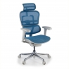 Ergonomischer Luxus Bürostuhl Ergohuman Elite, weißer Rahmen