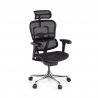Ergonomischer Luxus Bürostuhl Ergohuman Edition 1, schwarzer Rahmen