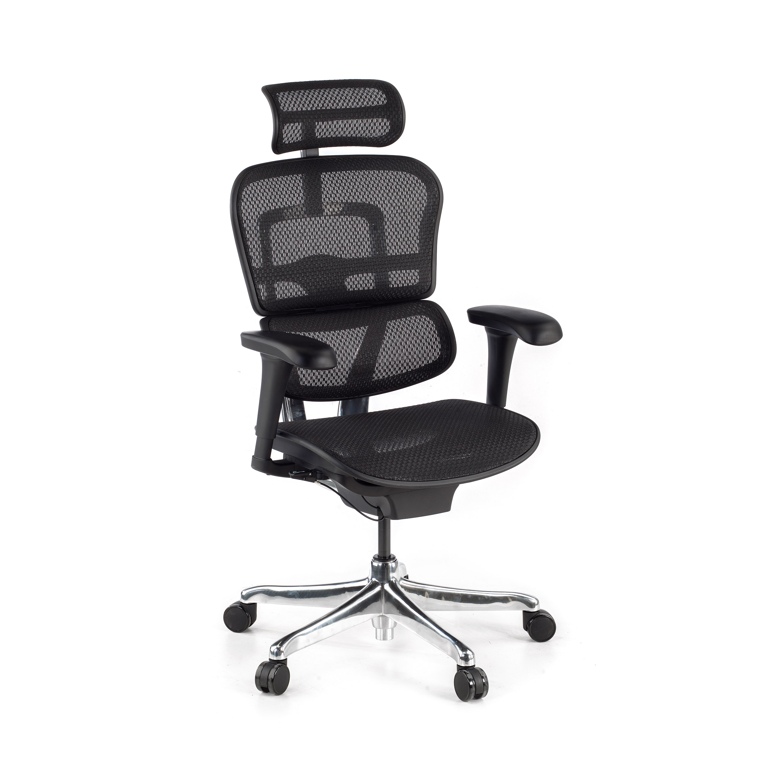 Ergonomischer Luxus Bürostuhl Ergohuman Edition 1, schwarzer Rahmen