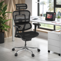 Ergonomischer Luxus Bürostuhl Ergohuman Edition 1, schwarzer Rahmen