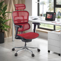 Ergonomischer Luxus Bürostuhl Ergohuman Edition 1, schwarzer Rahmen