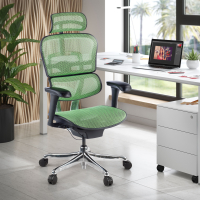 Ergonomischer Luxus Bürostuhl Ergohuman Edition 1, schwarzer Rahmen