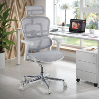 Ergonomischer Luxus Bürostuhl Ergohuman Elite, weißer Rahmen