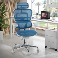 Ergonomischer Luxus Bürostuhl Ergohuman Elite, weißer Rahmen