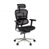 Ergonomischer Luxus Bürostuhl Ergohuman Elite, schwarzer Rahmen