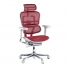 Ergonomischer Bürostuhl Ergohuman Elite, gepolsterter Sitz, schwarzer Rahmen