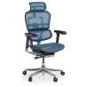 Ergonomischer Luxus Bürostuhl Ergohuman Elite, schwarzer Rahmen