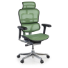 Ergonomischer Luxus Bürostuhl Ergohuman Elite, schwarzer Rahmen