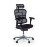 Ergonomischer Stuhl Ergohuman V2, gepolsterter Sitz, schwarzer Rahmen
