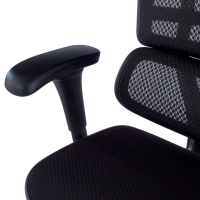 Ergonomischer Stuhl Ergohuman V2, gepolsterter Sitz, schwarzes Gestell