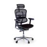 Ergonomischer Bürostuhl Ergohuman Elite, gepolsterter Sitz, schwarzer Rahmen