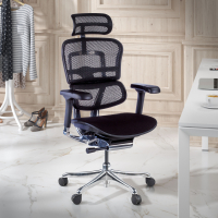 Ergonomischer Bürostuhl Ergohuman Elite, gepolsterter Sitz, schwarzer Rahmen