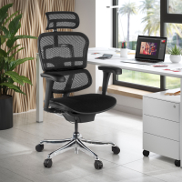 Ergonomischer Stuhl Ergohuman V2, gepolsterter Sitz, schwarzer Rahmen