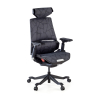 Gaming-Stuhl BloodDragon, Ergonomischer