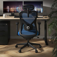 Bürostuhl Fusion black, Lendenstütze