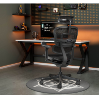 Ergohuman Ultra Black Carbon Edition Bürostuhl