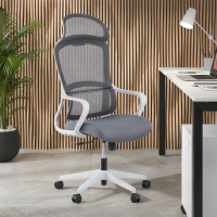 ergonomischer Schreibtischstuhl Nebula, mit Lendenkissen 210913 - (Outlet)